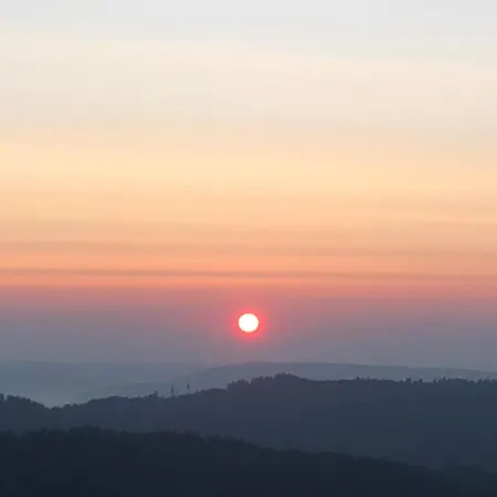 Gasthuis Forest Apartment-mountain Escape Menzenschwand