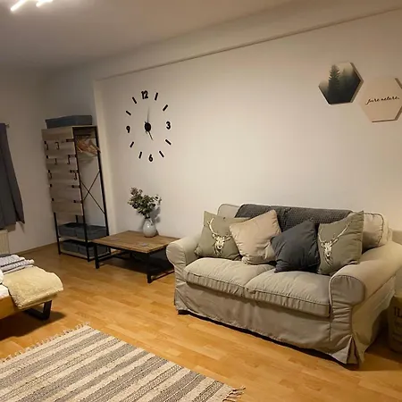 Forest Apartment-mountain Escape Menzenschwand بيت ضيافة سانت بلاسين