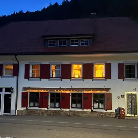 Gasthuis Forest Apartment-mountain Escape Menzenschwand