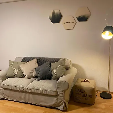 بيت ضيافة Forest Apartment-mountain Escape Menzenschwand 3*