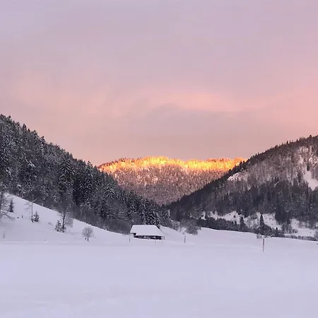 بيت ضيافة Forest Apartment-mountain Escape Menzenschwand 3*