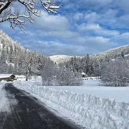 Forest Apartment-mountain Escape Menzenschwand بيت ضيافة سانت بلاسين