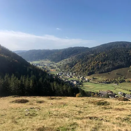 Forest Apartment-mountain Escape Menzenschwand St. Blasien