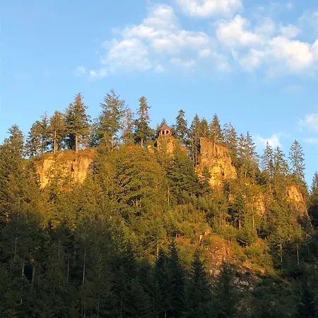 Gasthuis Forest Apartment-mountain Escape Menzenschwand