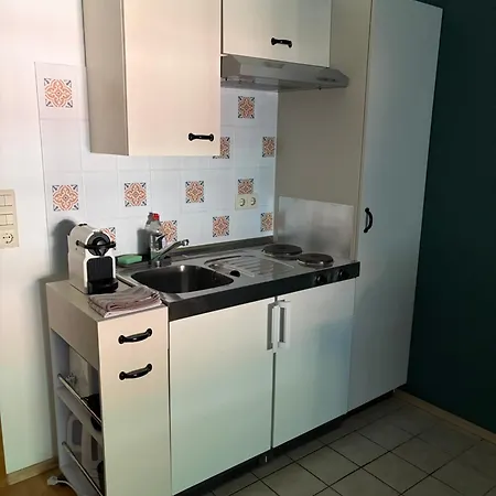 Forest Apartment-mountain Escape Menzenschwand 3* سانت بلاسين
