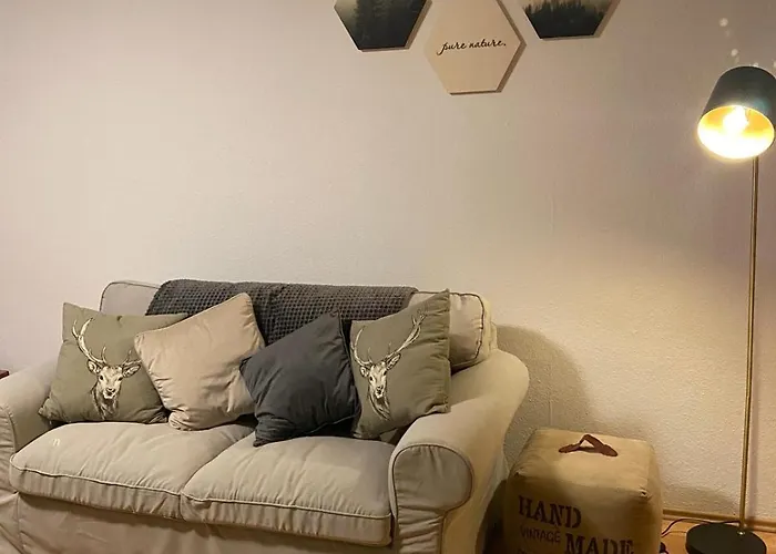 Pensjonat Forest Apartment-mountain Escape Menzenschwand 3*